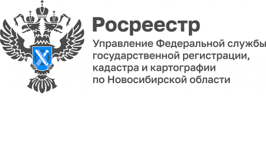 Комплексные кадастровые работы в Новосибирской области:  что необходимо знать собственникам участков